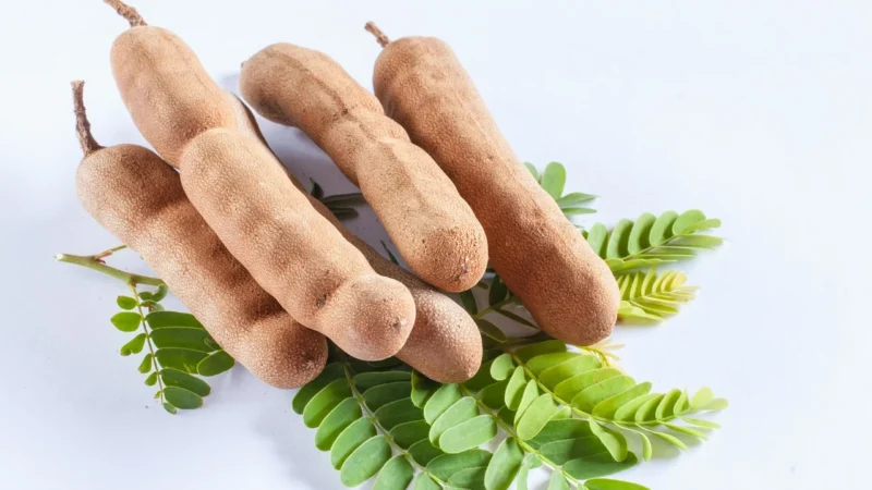 Jeenys E Tamarind Blok Z Pestkami 400g