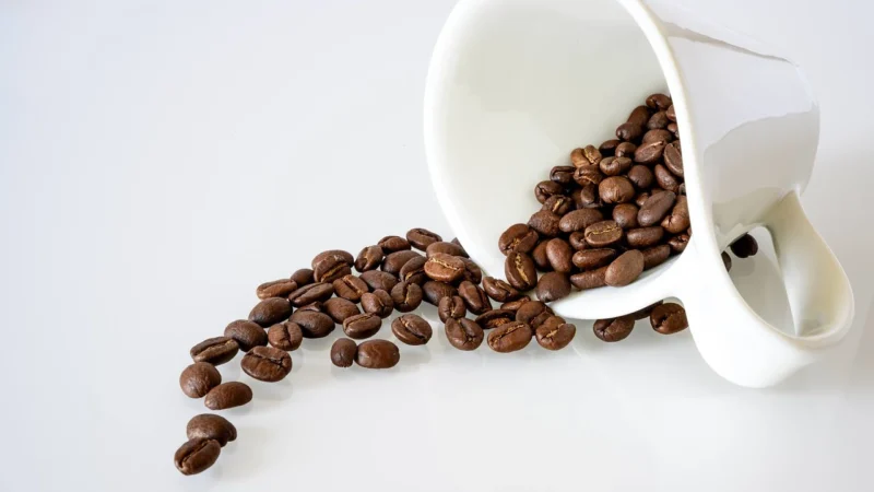 Kawa Ziarnista Mary Rose 1kg Arabika 100% 1000g