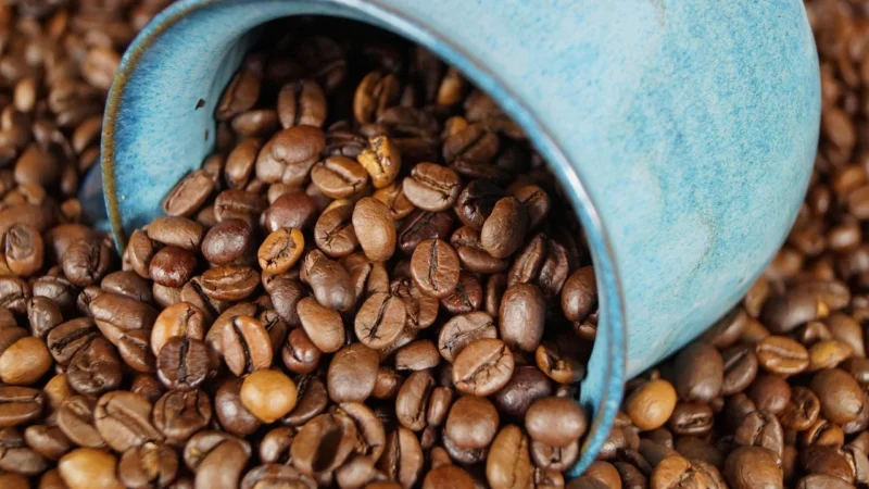 Kimbo Espresso Italiano Kawa Ziarnista (1) 500g