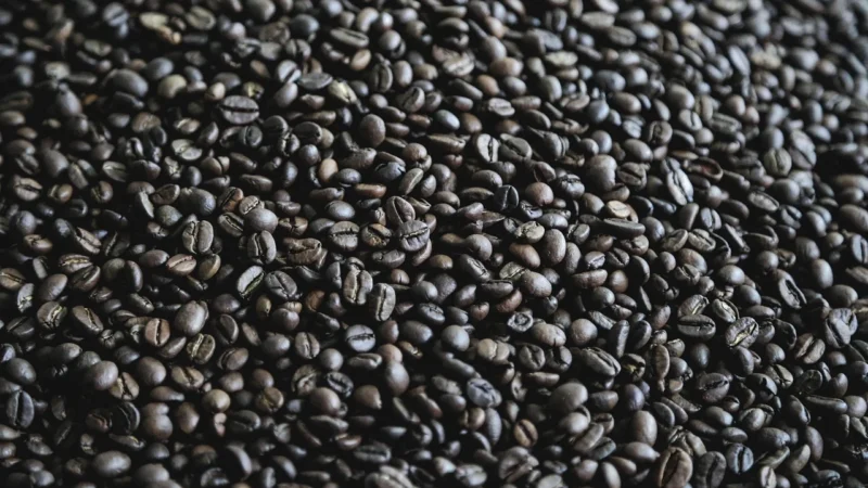 Kiwi Garden Coffee Roasters Kawa Ziarnista Świeżo Palona 100%Robusta Indonezja