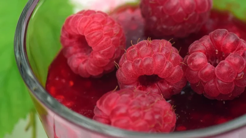 KruKam – frużelina bez cukru malina, owoce w żelu, 500g