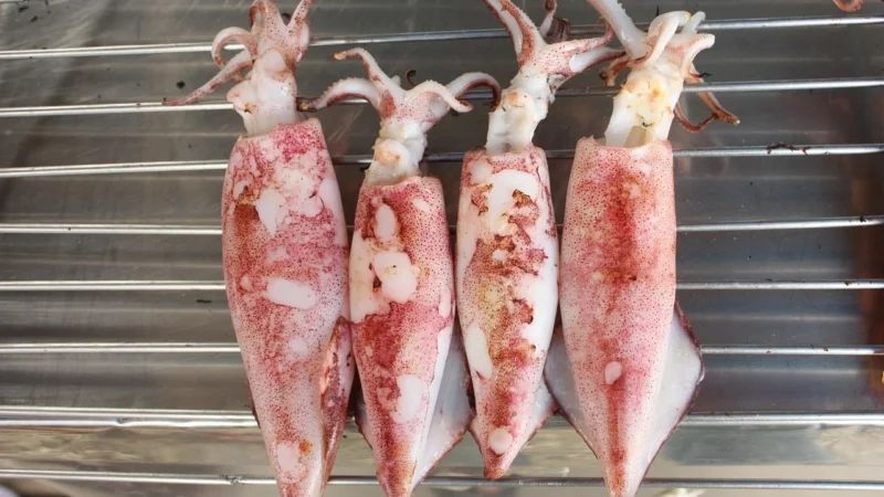Kuskus Razowy Bio 1kg Kasza Couscous Ekologiczny