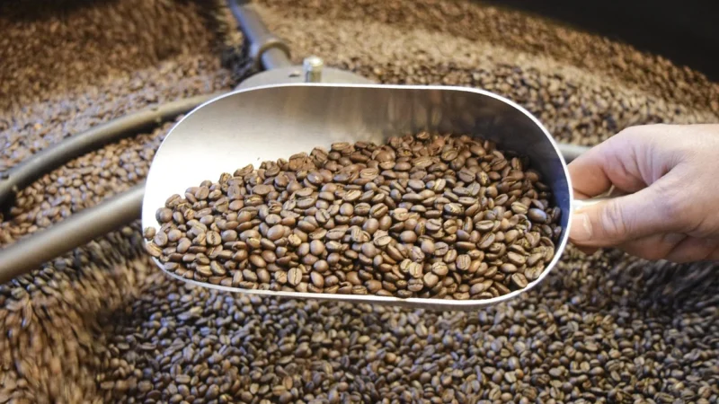 Lavazza Oro Mountain Grown ziarnista 1kg
