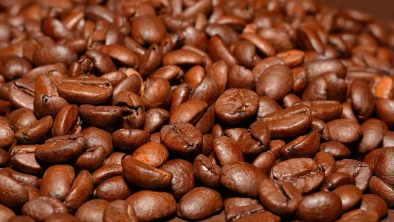 Lavazza Qualita Oro Mountain Grown mielona puszka 250g