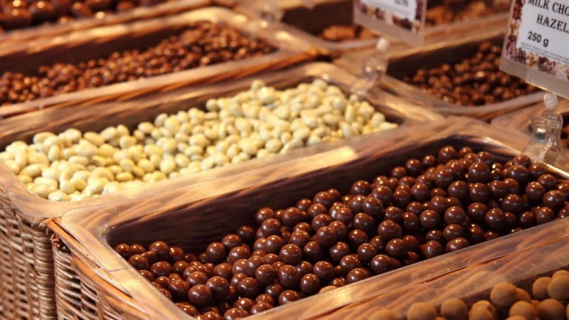 Lindt Excellence Roasted Hazelnut 100G