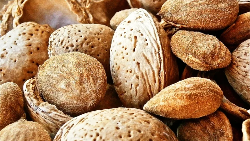 Magros Przyprawy Bezglutenowe Włoszczyzna Suszona Bezglutenowa 75 g Magros
