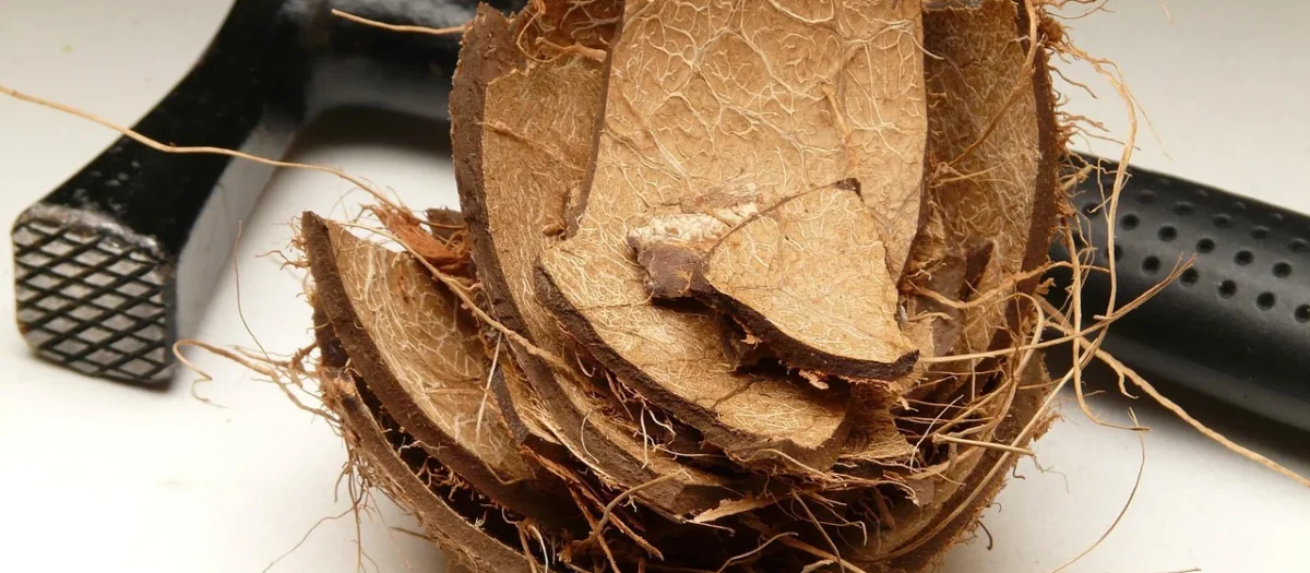 Mąka kokosowa bezglutenowa Bio 750g