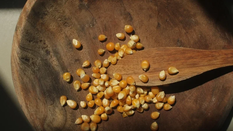 MĄKA KUKURYDZIANA BEZGLUTENOWA BIO 450 g – PROBIO