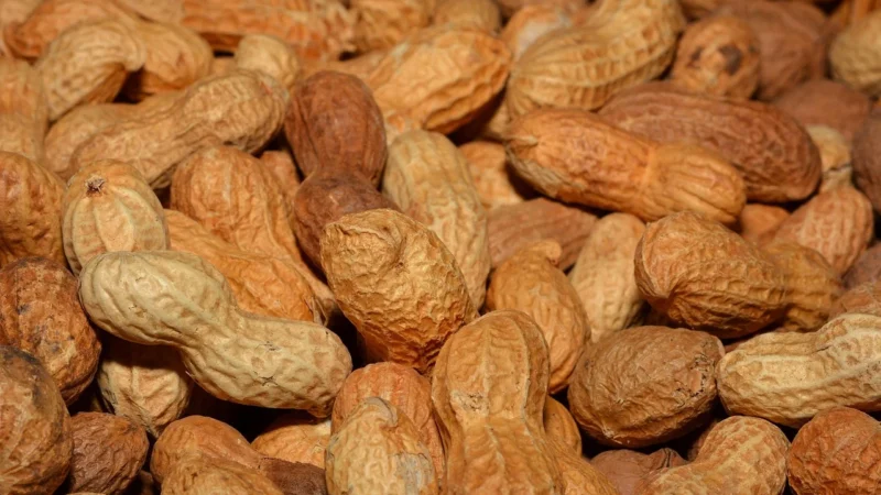 Makar Orzeszki ziemne bez łupiny naturalne 1000g