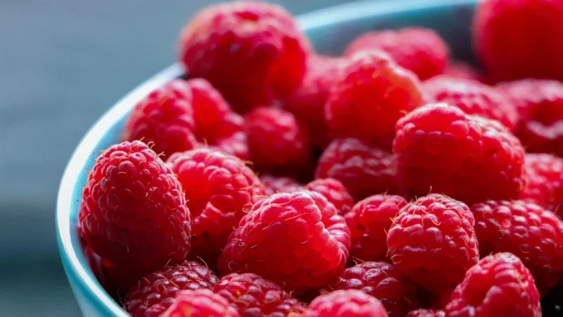 maliny liofilizowane – Delikatesy