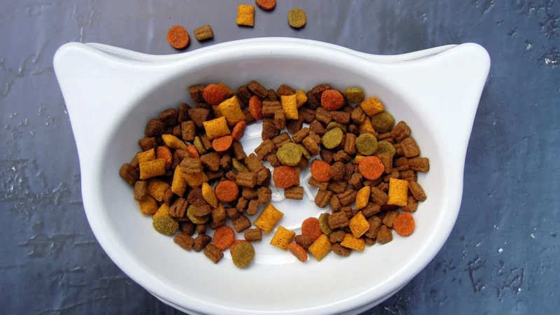 Mars Crave Z Indykiem I Kurczakiem Karma Sucha Dla Kota 750G