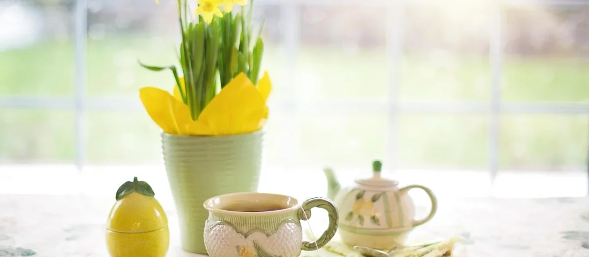 Matero Ceramiczne Zielone Calabaza Do Yerba Mate