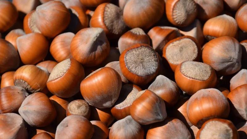 Migogroup Pestki Dyni Łuskane, Dynia Polska 500g