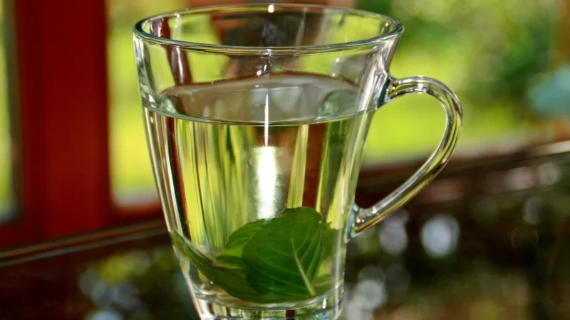 Ministry Of Tea HERBATKA MIĘTOWA (DOUBLE MINT SPLASH) BIO (20 x 1,5 g) 30 g –