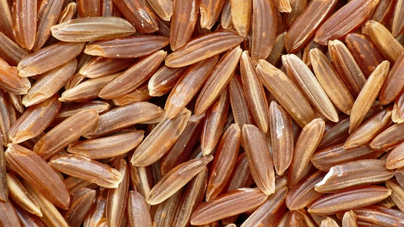 Ocelio Bezglutenowy Ryż Biały Długoziarnisty 1 kg