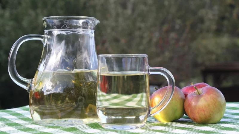Ocet Jabłkowy 5% Niefiltrowany Bio 5L Horeca b