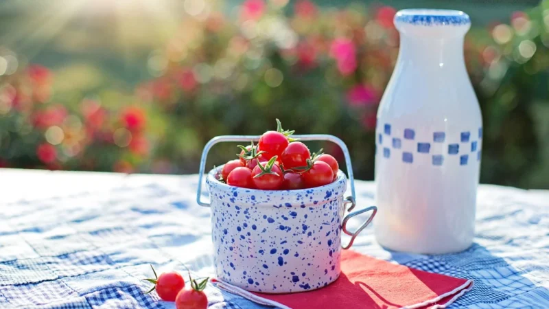 Oleofarm Syrop Wiśnia 55% Soku Z Wiśni 250Ml