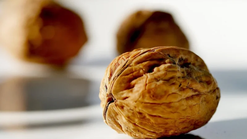 Orzechy włoskie Łuskane Świeże 1kg