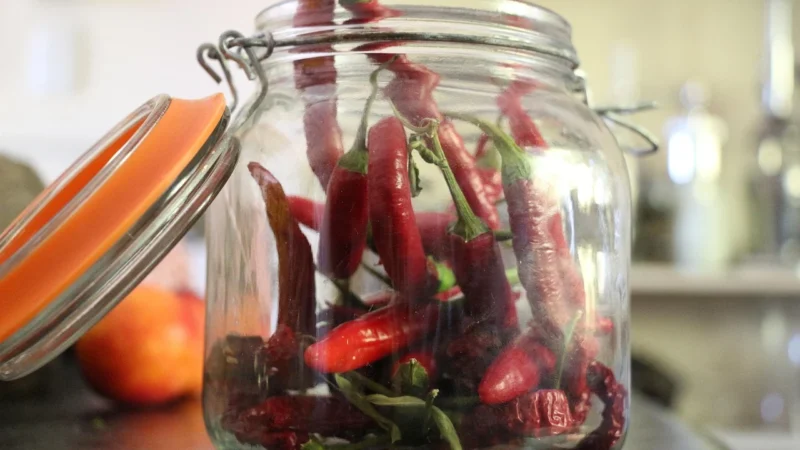 Papryka Jalapeno