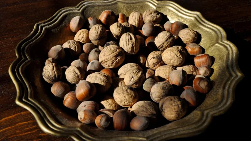 pestki moreli gorzkiej – Delikatesy