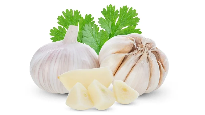 PIETRUSZKA ŚWIEŻA BIO (POLSKA) (około 0,30 kg)