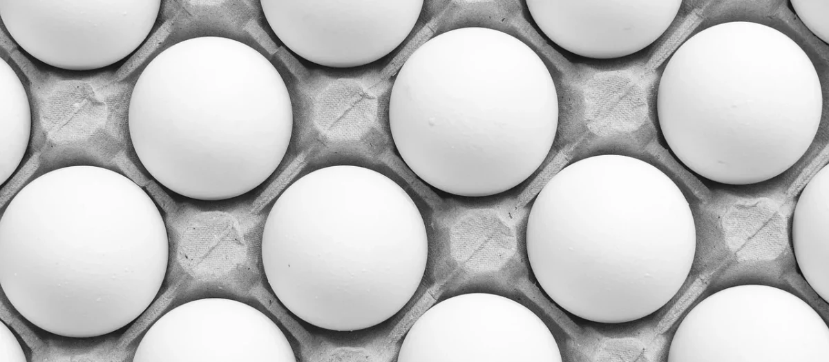POŁÓWKA KURCZAKA SUROWA BIO (około 1,10 kg) (TACKA) – LIMEKO (NA ZAMÓWIENIE)