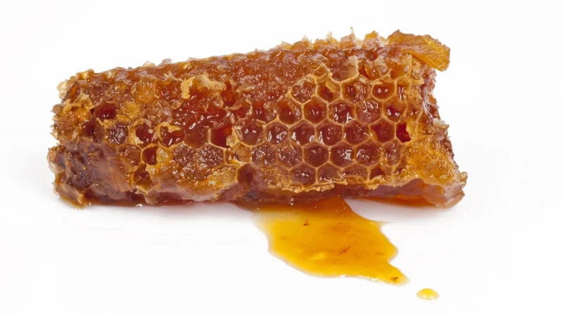 Polska Pasieka Propolis – Kit Pszczeli – 100G