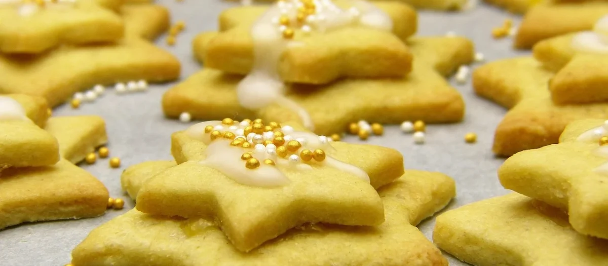 – pozostałe Horeca Proszek Do Pieczenia Bezglutenowy Bio 15Kg