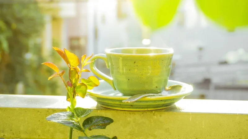 Progressive Japan Sencha premium (Pakowanie ozdobne, Kartonik z okienkiem 70g)