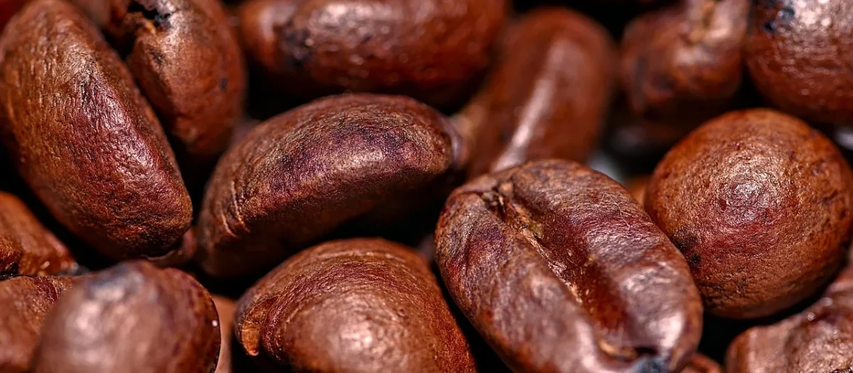 Progressive Kawa Ziarnista Energy Coffe (Pakowanie Ozdobne, Torebka Transparentna 50g)