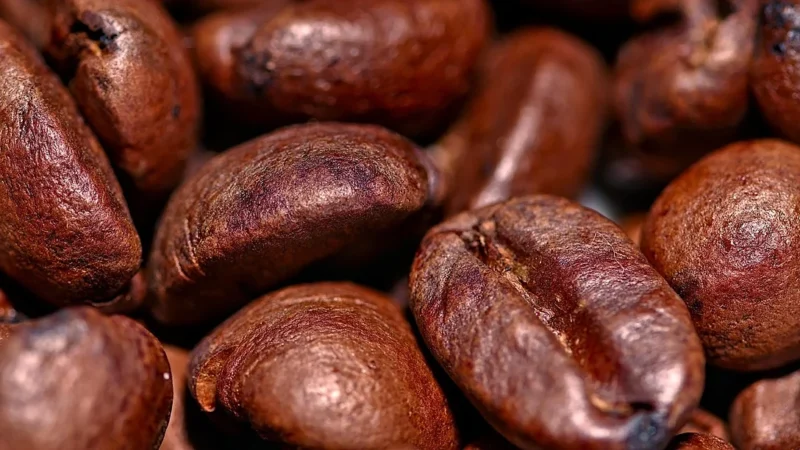 Progressive Kawa Ziarnista Energy Coffe (Pakowanie Ozdobne, Torebka Transparentna 50g)