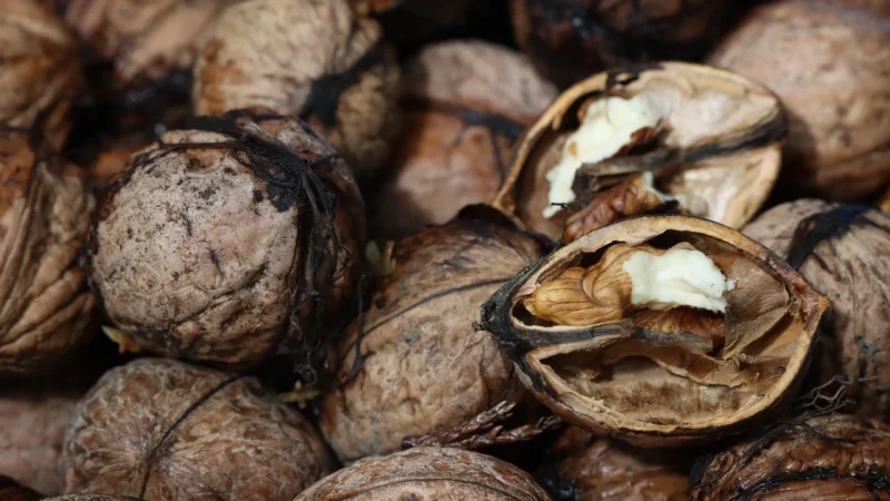 Promienie Słońca Dynia Łuskana Naturalna 500G