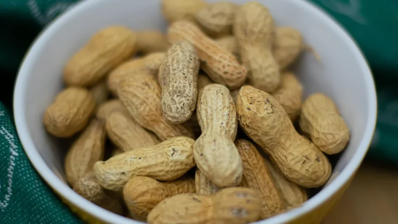 Promienie Słońca Orzechy Brazylijskie 1kg Kawałki Połówki Świeże