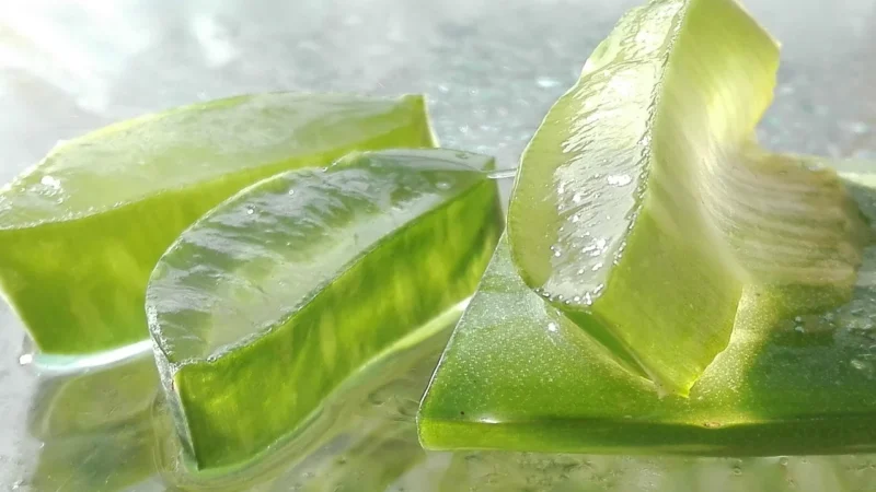 Pure Plus My Aloe Max Napój Z Aloesem 1.5l