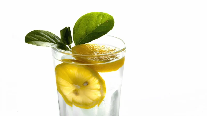 Purena Lemoniada Malina-Cytryna-Mięta Koncentrat 1kg