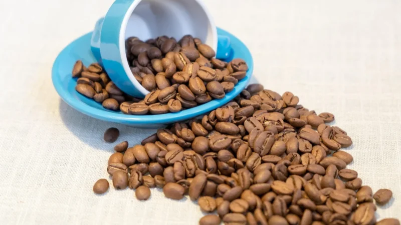 Qualia Kawa Ziarnista Kolumbia Finca La Indonesia Maracaturra Washed 250g