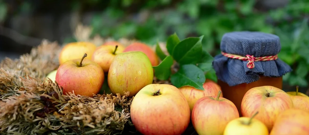 Raabauer Eisvogel Galaretka Z Płatków Róży Bio