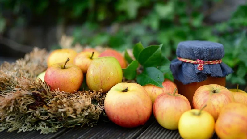 Raabauer Eisvogel Galaretka Z Płatków Róży Bio