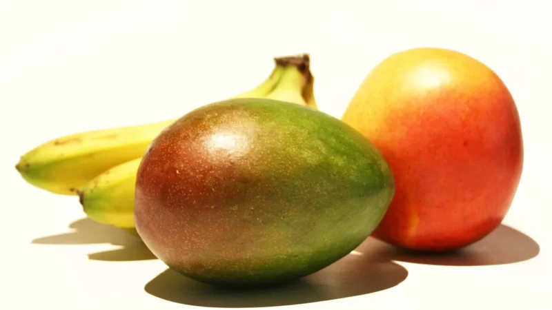 Rabenhorst SHOT OWOCOWY POMARAŃCZA – MANGO KURKUMA BIO 60ml
