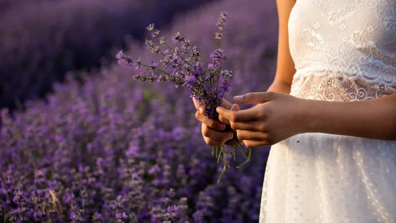 Rafex Bouquet garni jest wyśmienitą przyprawą kuchni francuskiej bez soli 50g