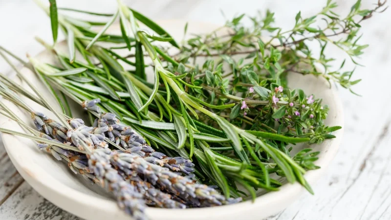 Rafex Mieszanka ziół na pasożyty 1kg