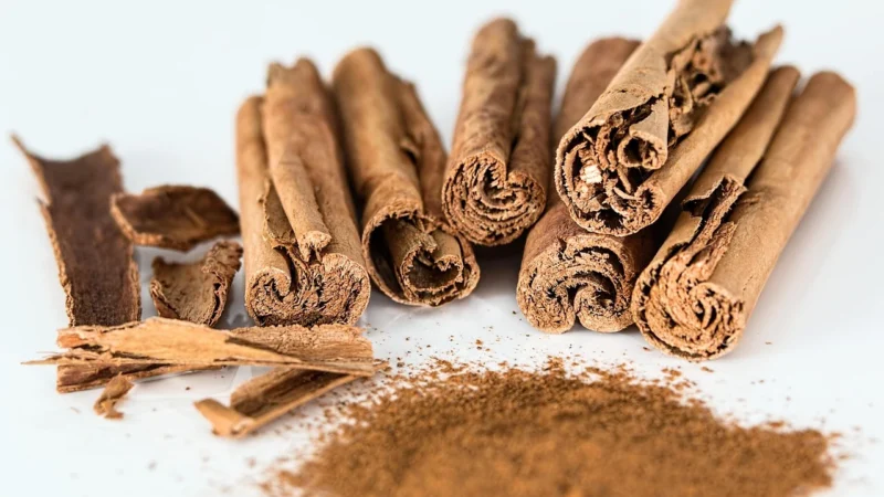 Rafex Migdałecznik chebułowiec mielony na pył 1kg