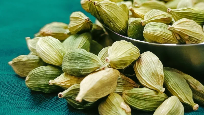 Rafex Tea masala 100g