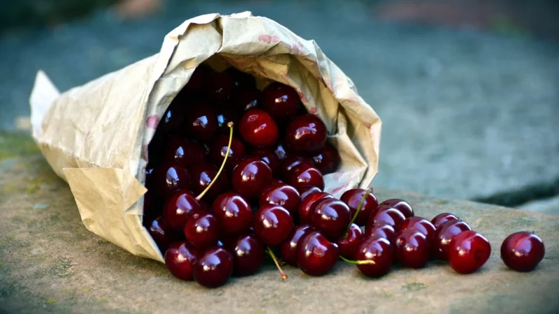 Rafex Wiśnia Polska z pestką 1kg