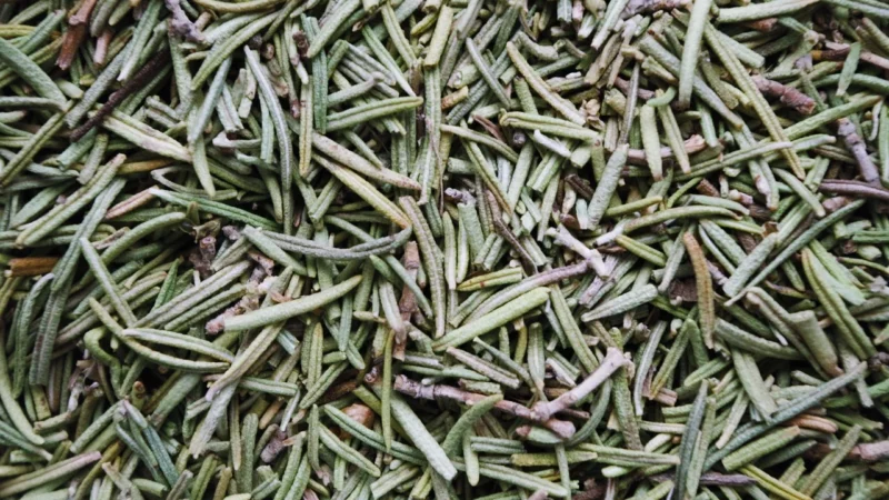 Rozmaryn aromatyczny suszony 0,25kg