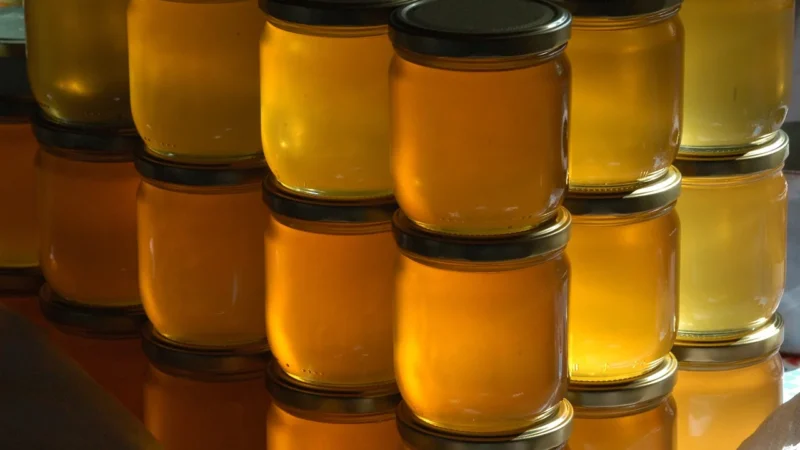 Sądecki Bartnik Miód Spadziowy 250G
