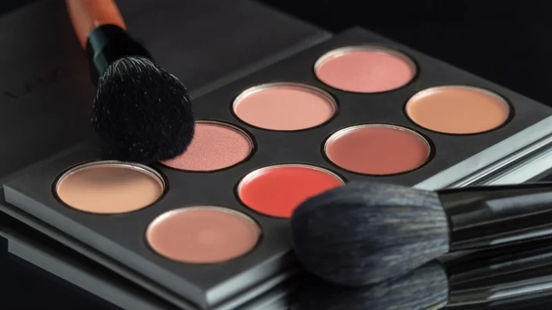 sante Multi Effect Mineral róż 01 Coral 8g