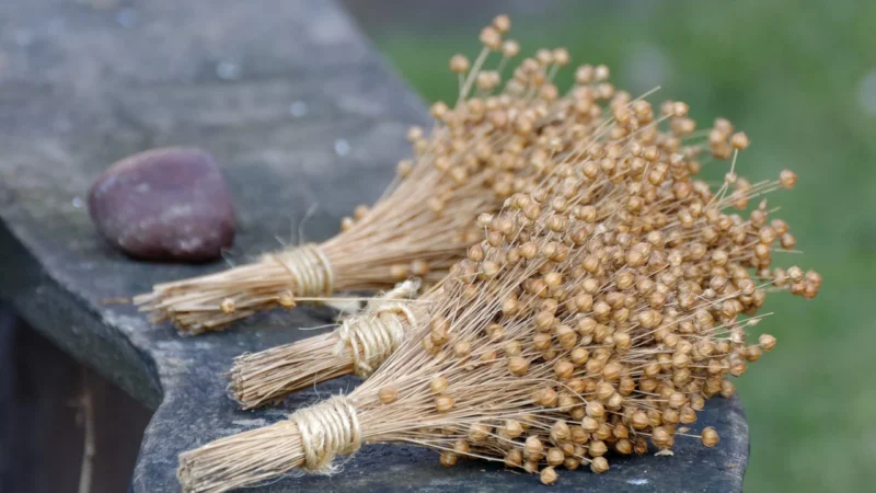 Schalk Mühle Organiczne siemię lniane surowe300G