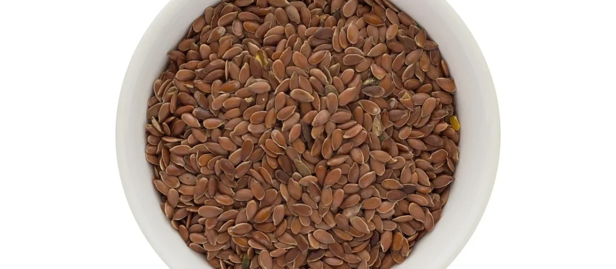 Siemię Lniane Brązowe Eoovita 1000 G