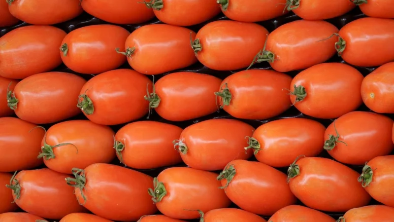 Sos pomidorowy passata (z pomidorów daktylowych) B
